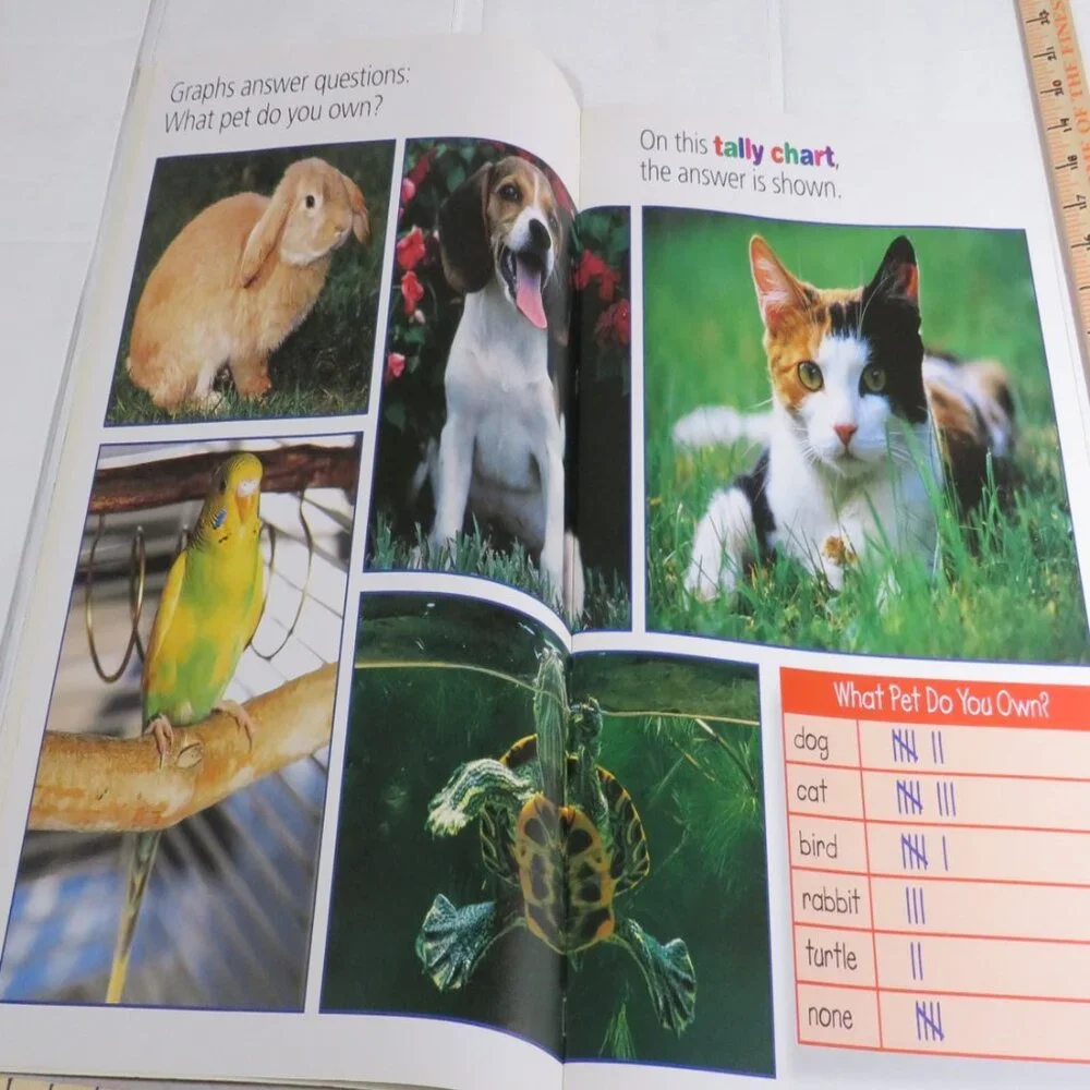 Graph It BIG BOOK (almost 2 feet tall) with teacher pages  CLASSROOM SIZE